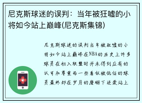 尼克斯球迷的误判：当年被狂嘘的小将如今站上巅峰(尼克斯集锦)