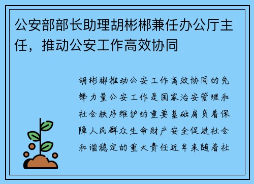 公安部部长助理胡彬郴兼任办公厅主任，推动公安工作高效协同