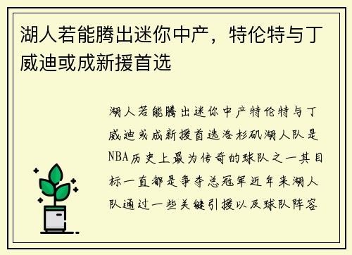 湖人若能腾出迷你中产，特伦特与丁威迪或成新援首选